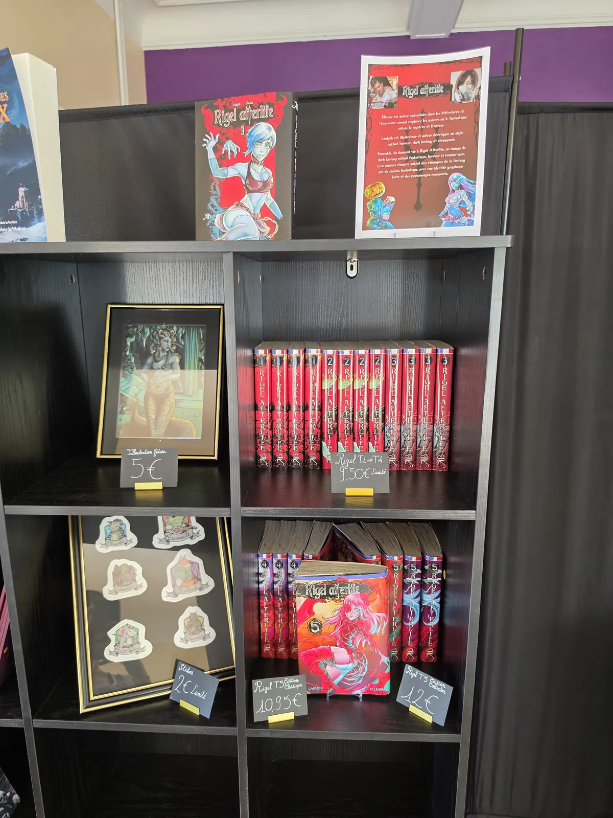 Étagère d'éditions indépendantes et de livres illustrés en boutique
